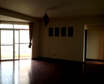 Achats appartements Greenview