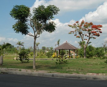 Location entrept  construire sur un terrain