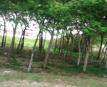 Achat terrain Ho Chi Minh