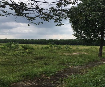Terrain  vendre Binh Duong