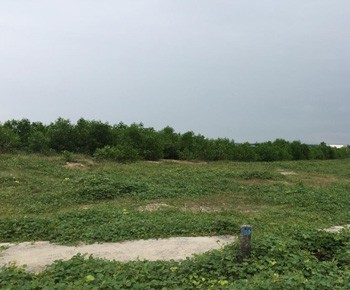 Terrain  vendre construire usine