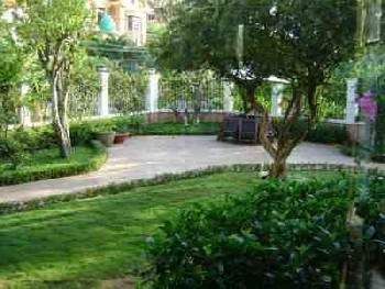 Auberge à louer Thao Dien